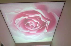 PVC Soft Film Adattat Għall-Istampar
