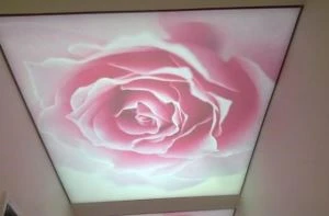 PVC Soft Film Translucent Printing